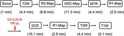 Distinguishing Tumor Admixed in a Radiation Necrosis (RN) Background: 1H and 2H MR With a Novel Mouse Brain-Tumor/RN Model